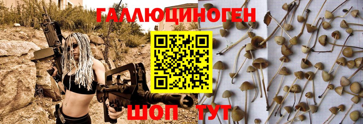 Мценск  купить   Вход с VPN  Галлюциногенные грибы прущие грибы 