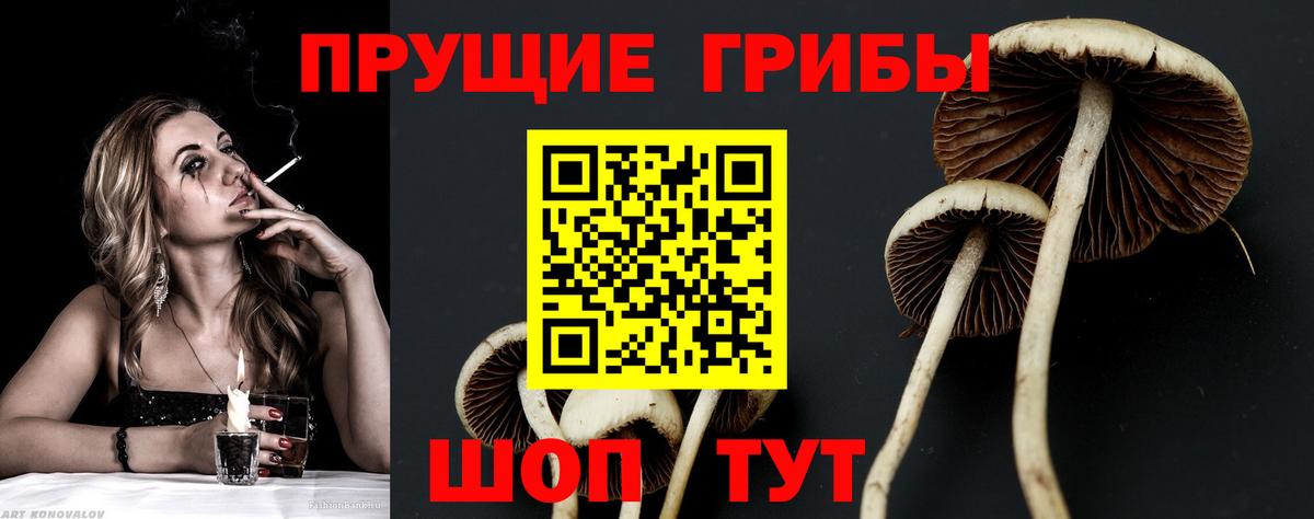 Псилоцибиновые грибы ЛСД Мценск